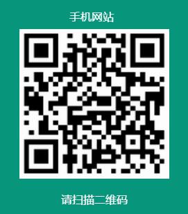 手机网站
